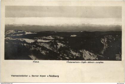 Feldberg
