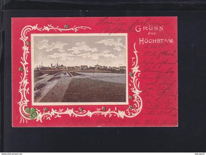 Dt. Reich Prägekarte Höchst Panorama