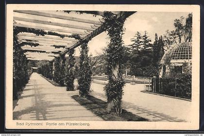 AK Bad Pyrmont, Partie am Fürstenberg