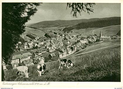 Furtwangen Panorama