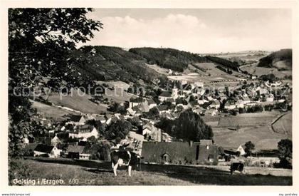 Geising Erzgebirge Panorama