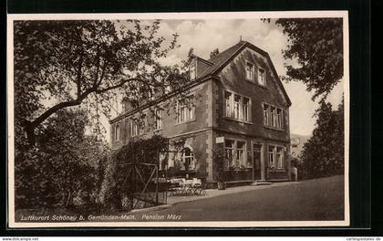 AK Schönau b. Gemünden-Main, Pension März