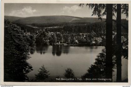 Bad Georgenthal, Blick vom Herzogsweg