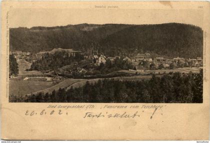 Georgenthal, Panorama vom Teichberg