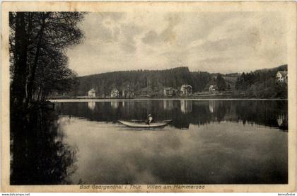 Georgenthal, Villen am Hammersee
