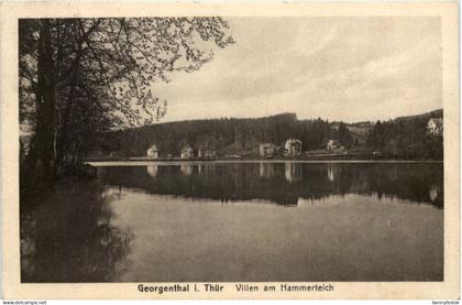 Georgenthal, Villen am Hammerteich