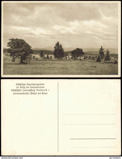 Ansichtskarte Geyer Umland-Ansicht Hermannsdorfer Wiesen bei Geyer 1920