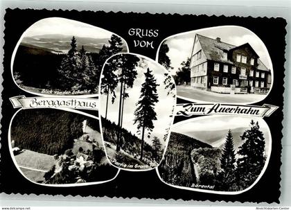 38095420 - Auerhahn , Oberharz