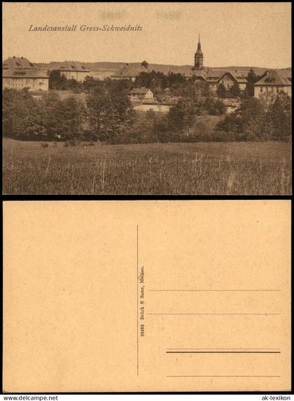 Ansichtskarte Großschweidnitz (OL) Swóńca Blick auf die Landesanstalt 1917