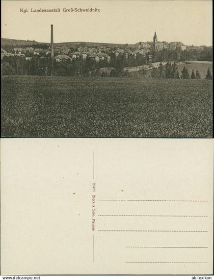 Großschweidnitz (OL) Swóńca Blick auf Stadt, Landesanstalt 1913