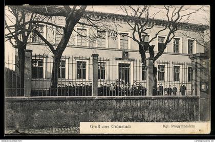 AK Grünstadt, Königliches Progymnasium