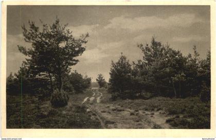 Heideweg bei Gütersloh