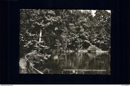 Gummersbach Grotenbachteich