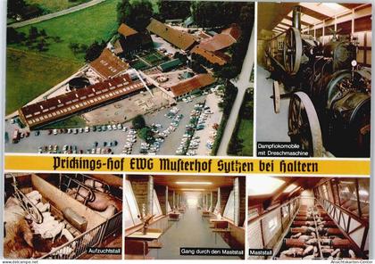 50512766 - Haltern , Westf