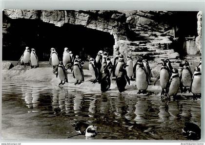 39878944 - Stellingen