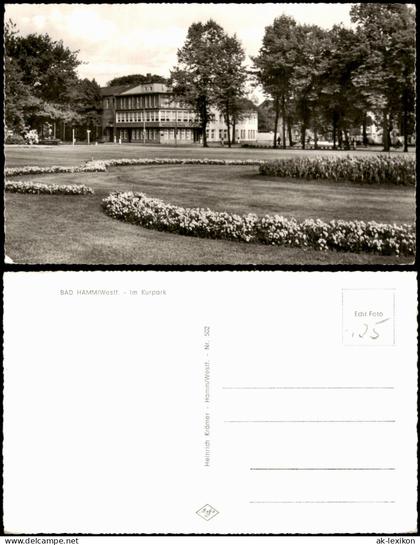 Ansichtskarte Hamm (Westfalen) Im Kurpark 1960
