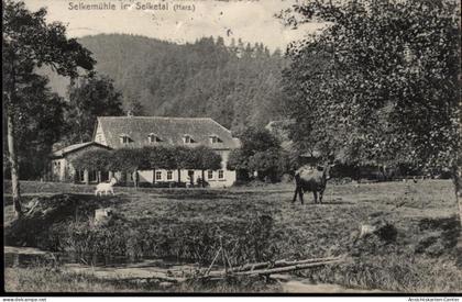 50457641 - Harzgerode