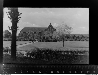 30029329 - Heide , Holst