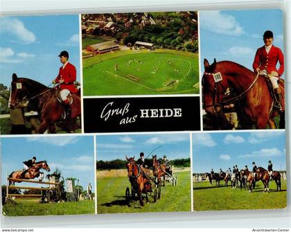 40109110 - Heide , Holst