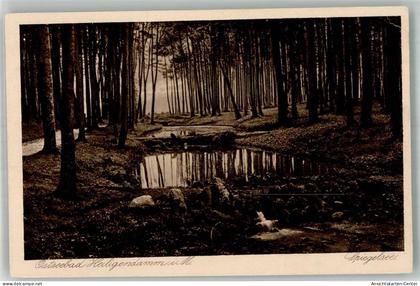 38149350 - Heiligendamm