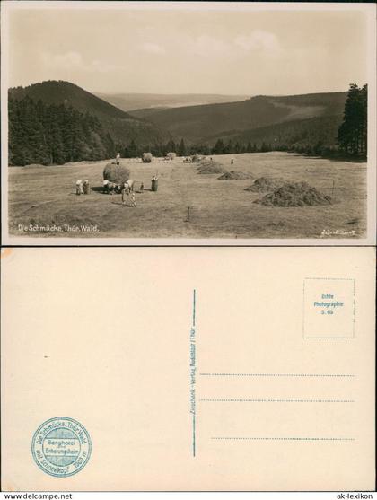 Ansichtskarte Heldrungen Schmücke Heuernte Bauern - Fotokarte 1931