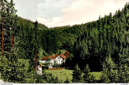Bischofsmuehle Rodachtal Helmbrechts Gasthof zum Bauernhaeusl