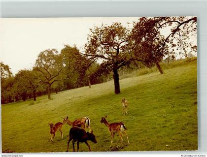 39832719 - Hennef Sieg