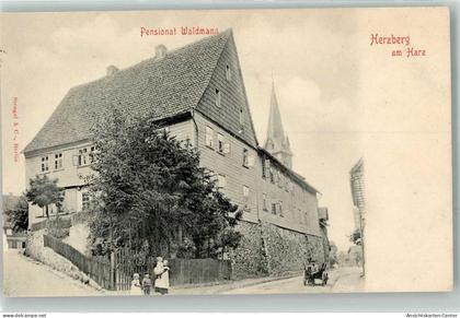 13485725 - Herzberg am Harz