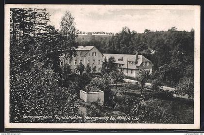 AK Herzogswalde bei Mohorn i. Sa., Genesungsheim Tännichtmühle