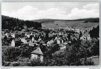 50547152 - Schmitten , Taunus