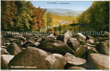 Felsberg Odenwald Felsenmeer im Odenwald Natur