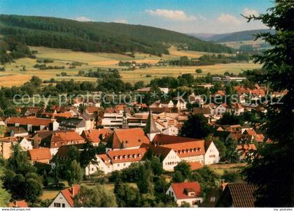 Hoechst Odenwald Panorama