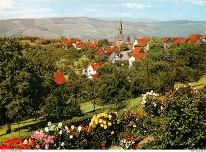 Rothenberg Odenwald Panorama Erholungsort im Naturpark Odenwald