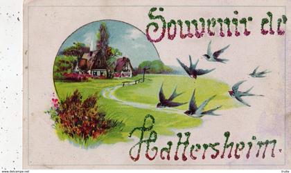 SOUVENIR DE HATTERSHEIM