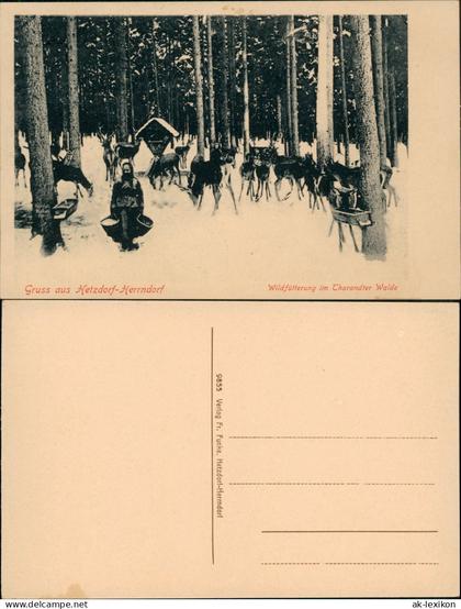 Ansichtskarte Hetzdorf-Halsbrücke Wildfütterung im Tharandter Walde 1914