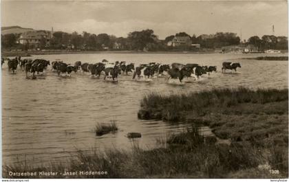 Seebad Kloster, Insel Hiddensee