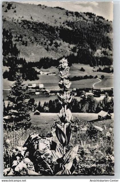 50438375 - Hindelang