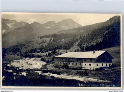 51363223 - Hindelang