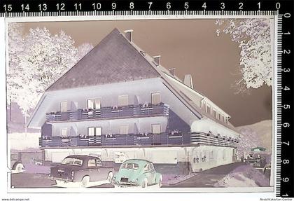 31002665 - Hinterzarten