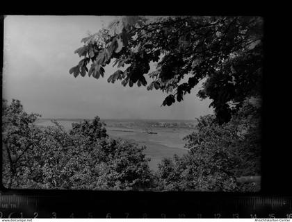 30055102 - Hitzacker (Elbe)