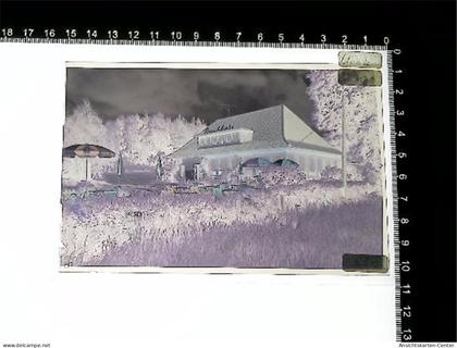 31005782 - Hitzacker Elbe