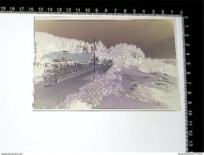 31005793 - Hitzacker Elbe