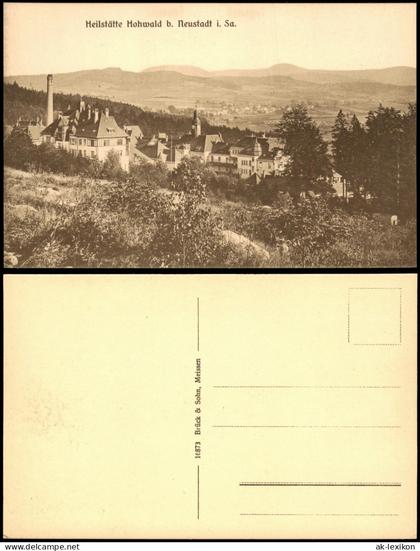 Ansichtskarte Hohwald (Sachsen) Heilstätte Hohwald - Fernsicht 1913