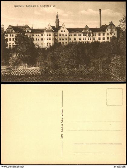 Ansichtskarte Hohwald (Sachsen) Heilstätte Hohwald - Wald 1916