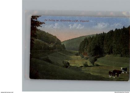 50223274 - Holzminden