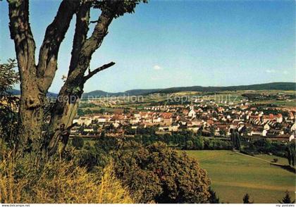 Huenfeld Fulda Hessen Panorama