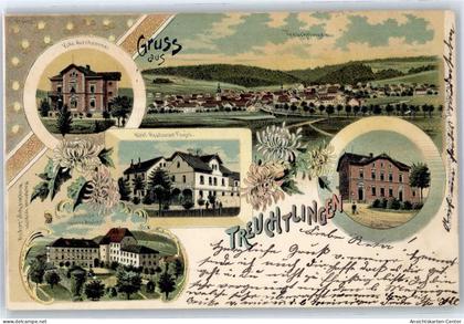 50924533 - Treuchtlingen