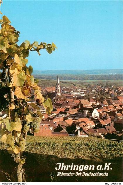 Ihringen Kaiserstuhl Panorama