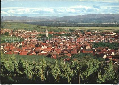 Ihringen Panorama