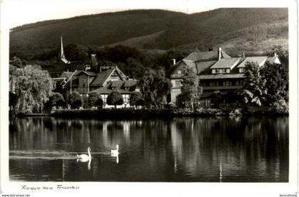 Ilsenburg, Forellenteich